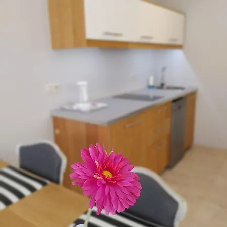 Luna&sol 住宿加早餐酒店 3*